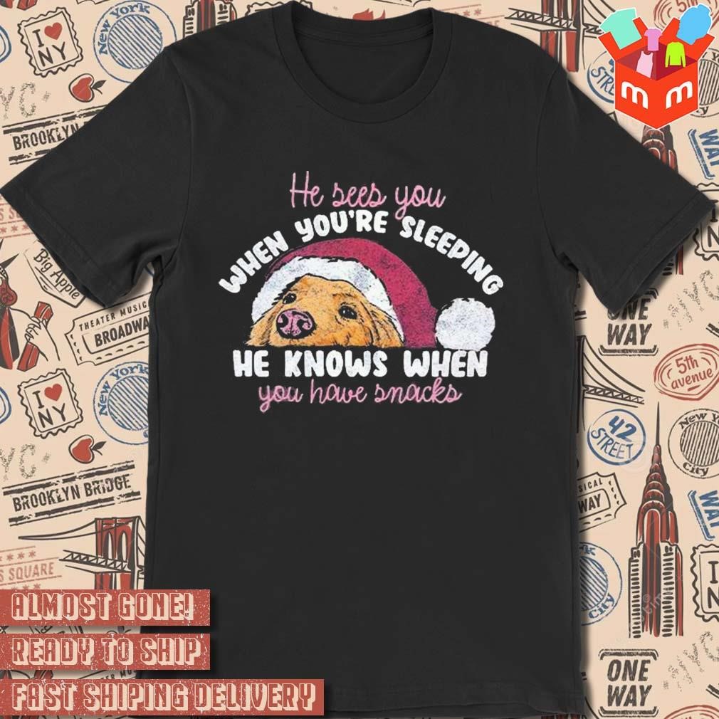 He sees you when you're sleeping he knows when you house snacks dog Santa Christmas 2023 T-shirt