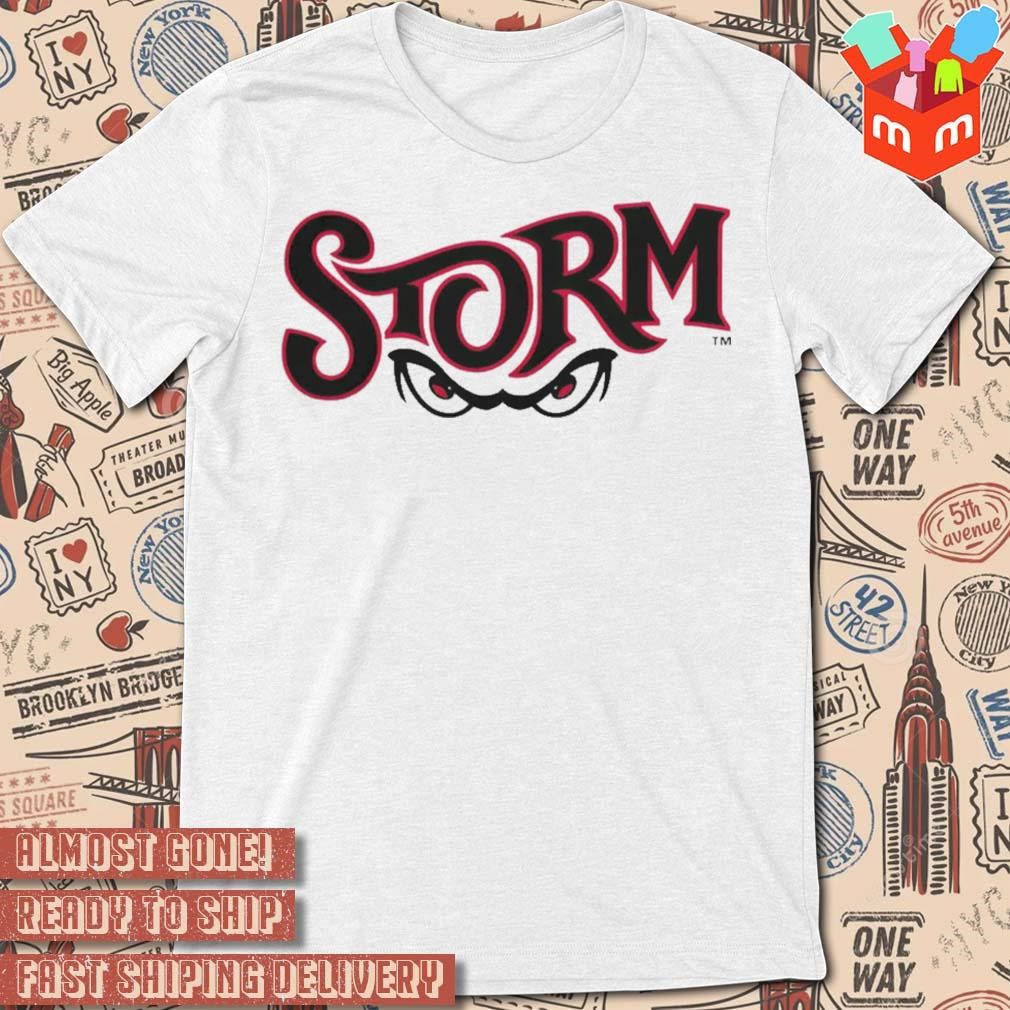 Milb Lake Elsinore Storm Baseball New Wordmark t-shirt